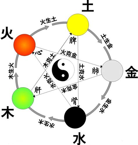 五行中|五行具有哪些属性和特性？